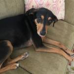 Photo of Gru and Lucy