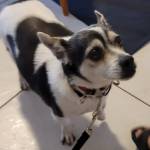 Photo of Nona & Quese