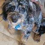 Photo of Bella & Adina