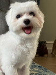 Photo of Sterling
