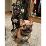 Photo of Stormi & Pippa