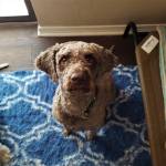 Photo of Raniero and Libby