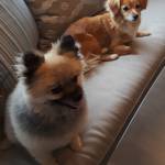 Photo of Annabelle and Gia