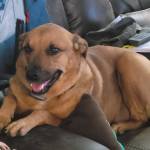 Photo of Casey & Annie