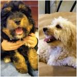 Photo of Maizy & Bentley