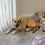 Photo of Wally & Frank