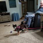 Photo of Abby & Odie