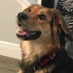 Photo of Athena, Jimbo