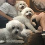 Photo of Shilo and Jackson