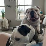 Photo of Zeus & Kobe