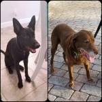 Photo of Lucy & Toby