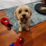 Photo of Handle & Dude