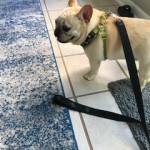 Photo of Lucy and Mia