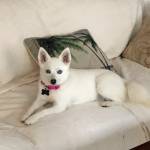 Photo of Kiki & Koko