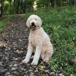 Photo of Louis / Gucci