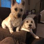 Photo of Hammy and Mozarella