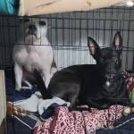 Photo of Lina & Atlas