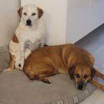 Photo of Charlie & Zoe