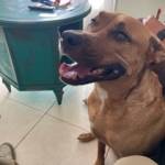 Photo of Emmett and Annie