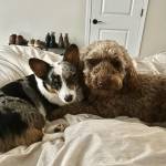 Photo of JoJo and Louise