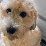 Photo of Tito / Ramio