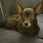 Photo of Minnie & Tica