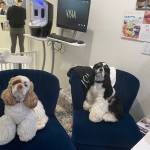 Photo of Mia / Moxie