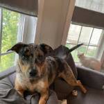 Photo of Lucy