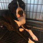 Photo of Zeus Apollo Eros and Hermes