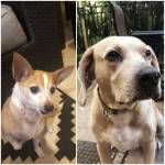 Photo of Thogo & Nina