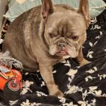 Photo of Stitchy & Baby