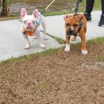 Photo of Pinky and Max