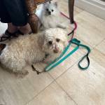 Photo of Nike / Maci