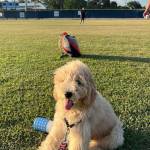 Photo of Leia and George