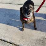 Photo of Dora and Sydney