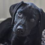 Photo of Blane Sando