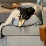 Photo of Fred & Duncan