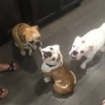 Photo of Cabo, Praia, Baha