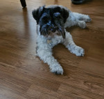 Photo of   Zeus & Zephyr