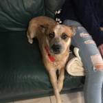 Photo of Kanga/ItsyBitsy