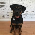 Photo of Ranger Ruth