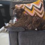 Photo of Charlie & Jesse