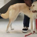 Photo of Louie, Amelia & Arya