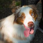 Photo of Charlie / Skyler