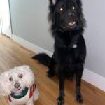 Photo of Baron and Ray Ray