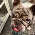 Photo of Billie Jean Grace