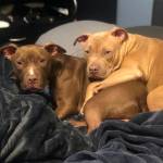 Photo of Oits / Fiona