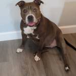 Photo of Harley and Raylan