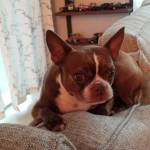 Photo of Sookie & Mylie