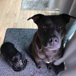 Photo of Penny & Bubbie